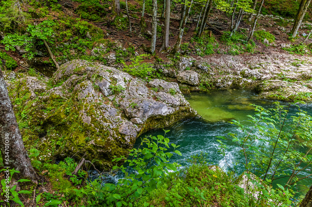 A view across boulders in riverbed of the Mostnica river in the Mostnica gorge in Slovenia in summertime A view across boulders in riverbed of the Mostnica river in the Mostnica gorge in Slovenia in summertime