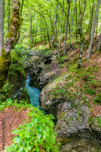 A view up the Mostnica river towards a bridge in the Mostnica gorge in Slovenia in summertime