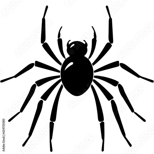 Black spider silhouette