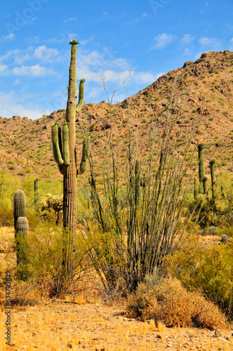 San Tan Mountains Sonora Desert Arizona