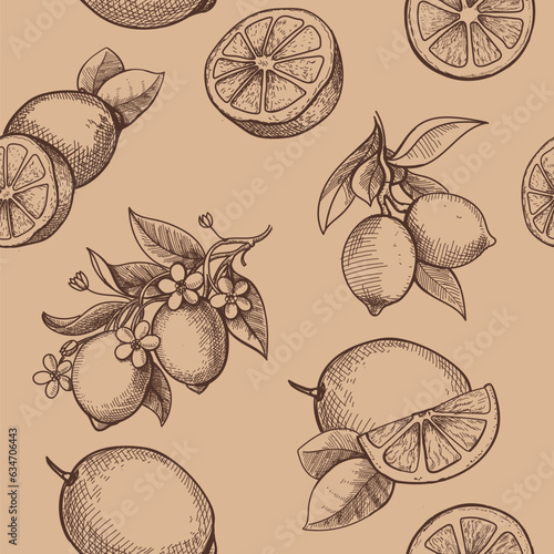 Lemon, lime fruit and flowers. Vector seamless citrus pattern. Orange lemon ink sctech. Vintage style