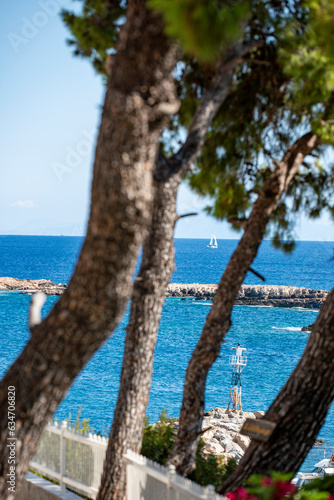 trees on the beach,boat , greece, grekland, skopelos, EU, Mediterranean, Mats