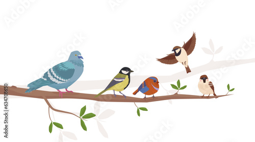birds on the branch. bullfinch, tit, sparrow, pigeon, crow, birds sitting on the tree in different poses. cartoon vector flat background.