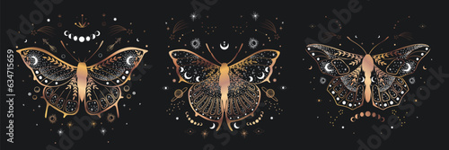 mystical illustration of a butterfly or moth. mysterious night in a secret garden. magic aesthetics, wildlife, retro vintage engraving style
