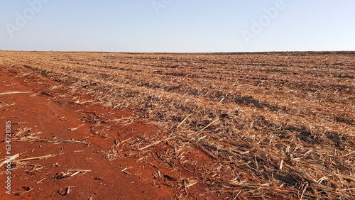 Photos Chão de terra vermelha coberta com palha seca de cana de açúcar colhida e céu azul