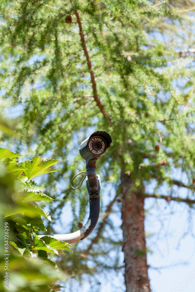 Video surveillance camera on green tree background.... Video surveillance camera on green tree background....