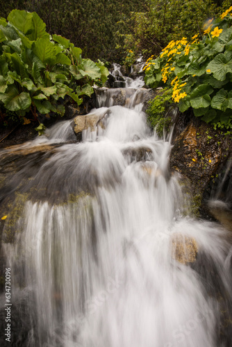 Beautiful waterfall with yellow flowers around © danmir12