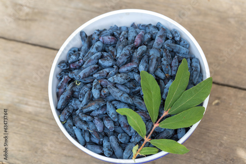 Fresh blue honeysuckle, also known as Honey berry, a background of blue berries with green leaves photo