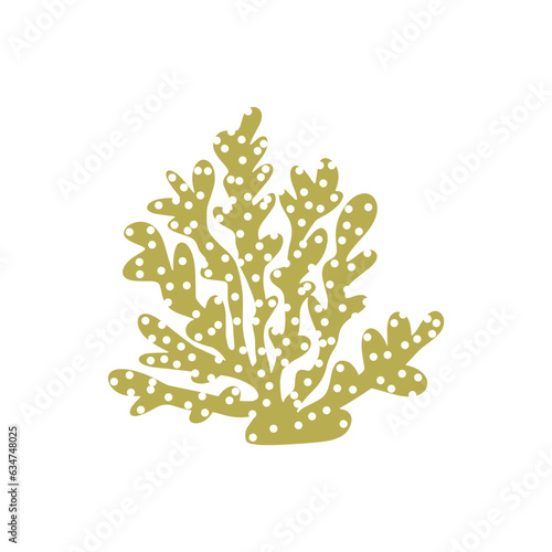 Coral. Underwater element. Vector illustration in scandinavian style. Sea ocean.
