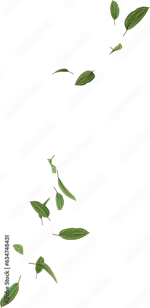 3D Render Flying Green Foliage 3D Render Flying Green Foliage