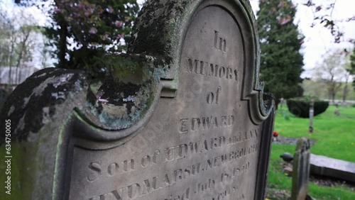Close-up of a Gravestone in a Cemetery With Falling Blossoms