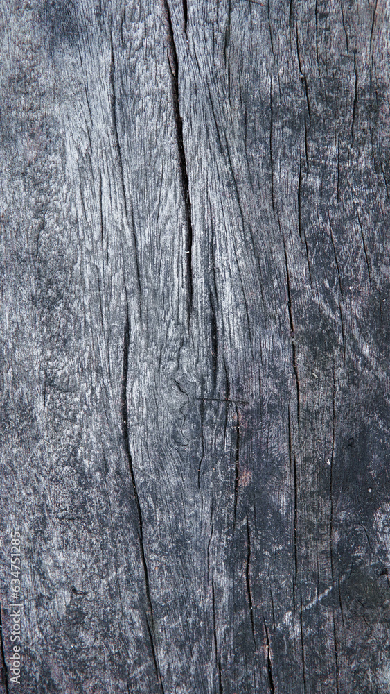 Fototapeta premium Gray wood pattern
