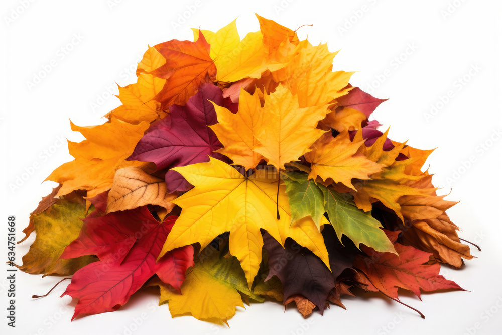 Big pile of colorful autumn leaves isolated on white background
