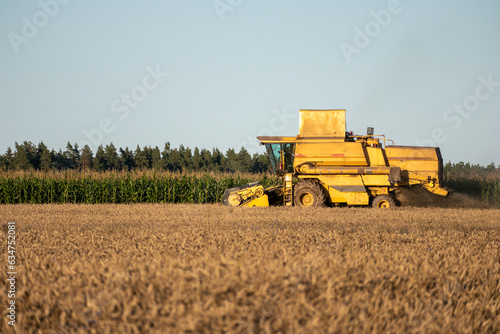 a yellow tractor threshes a grain field on a background of green trees.