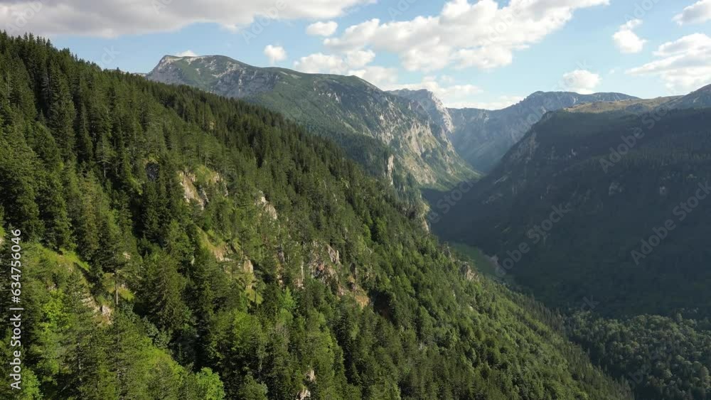 Aerial view of an epic, rocky canyon overgrown with coniferous forest. Durmitor. Montenegro. Aerial view of an epic, rocky canyon overgrown with coniferous forest. Durmitor. Montenegro.