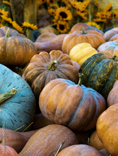 autumn pumpkins on a wooden thanksgiving table