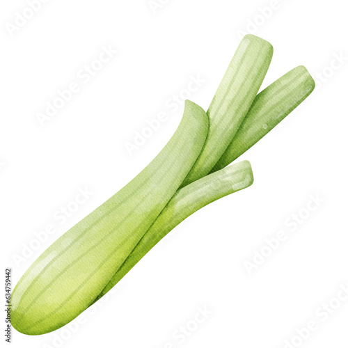 spring onion on a transparent background