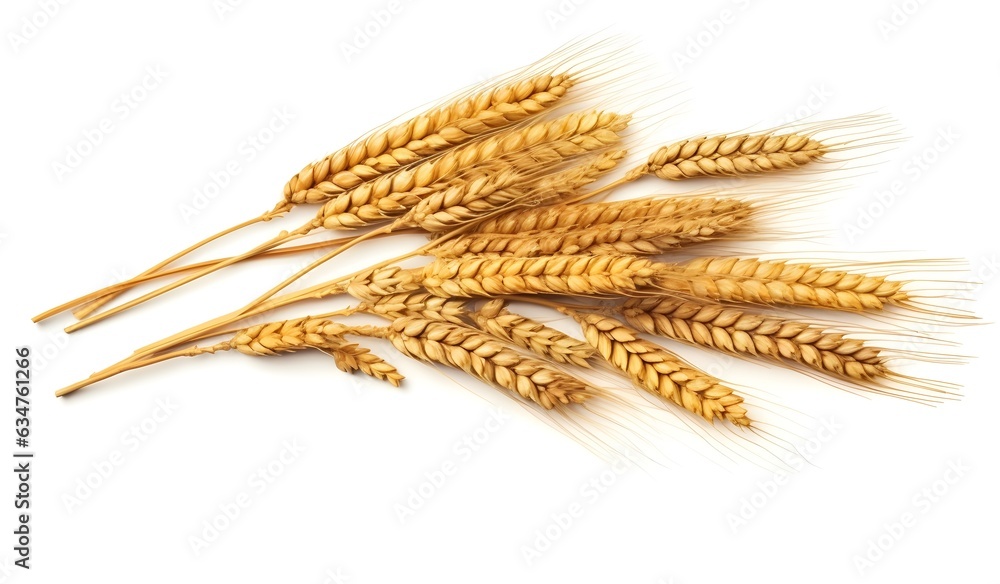 Wheat isolated on white background Wheat isolated on white background