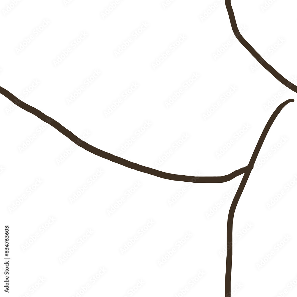 branches isolated on white branches isolated on white