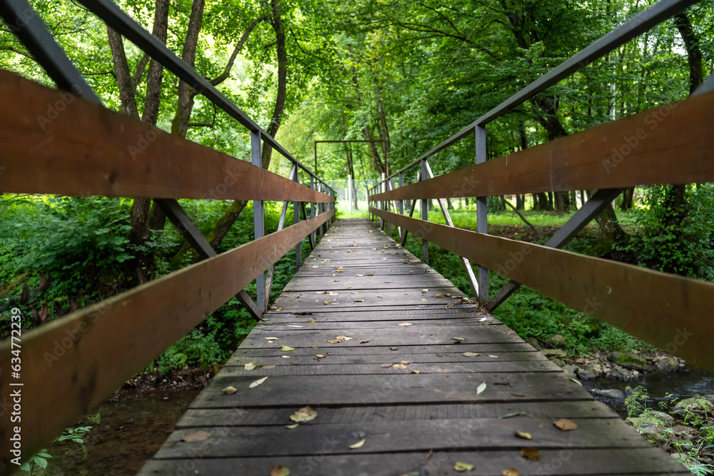 Fototapeta premium Wooden bridge over forest river