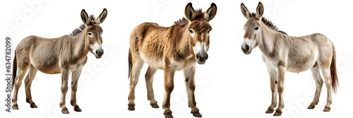 Fotografia donkey isolated on transparent background ,donkey side view cut out generative a