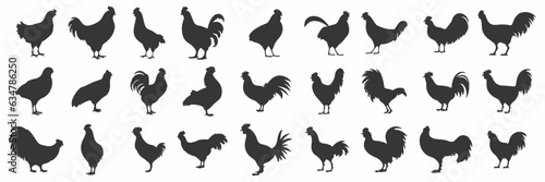 Pet poultry silhouettes and icons. Black flat color simple elegant Pet poultry animal vector and illustration.