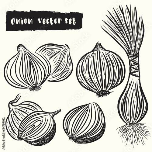 Onion hand drawn vector set