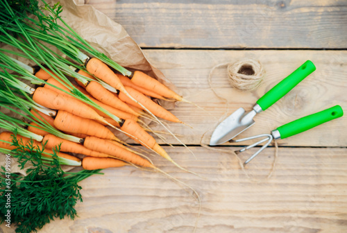 Fresh carrots on a wooden background. Garden tools. Rake and shovel. Vegetables and root vegetables are useful vitamins. Food for vegetarians. Homemade vegetables, eco-friendly. Agricultural industry.