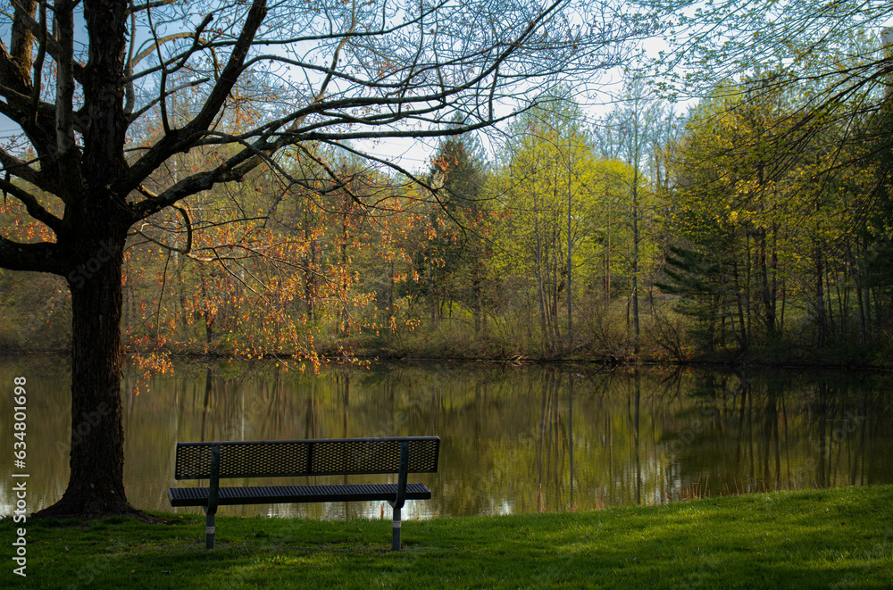 Obraz premium bench in the park
