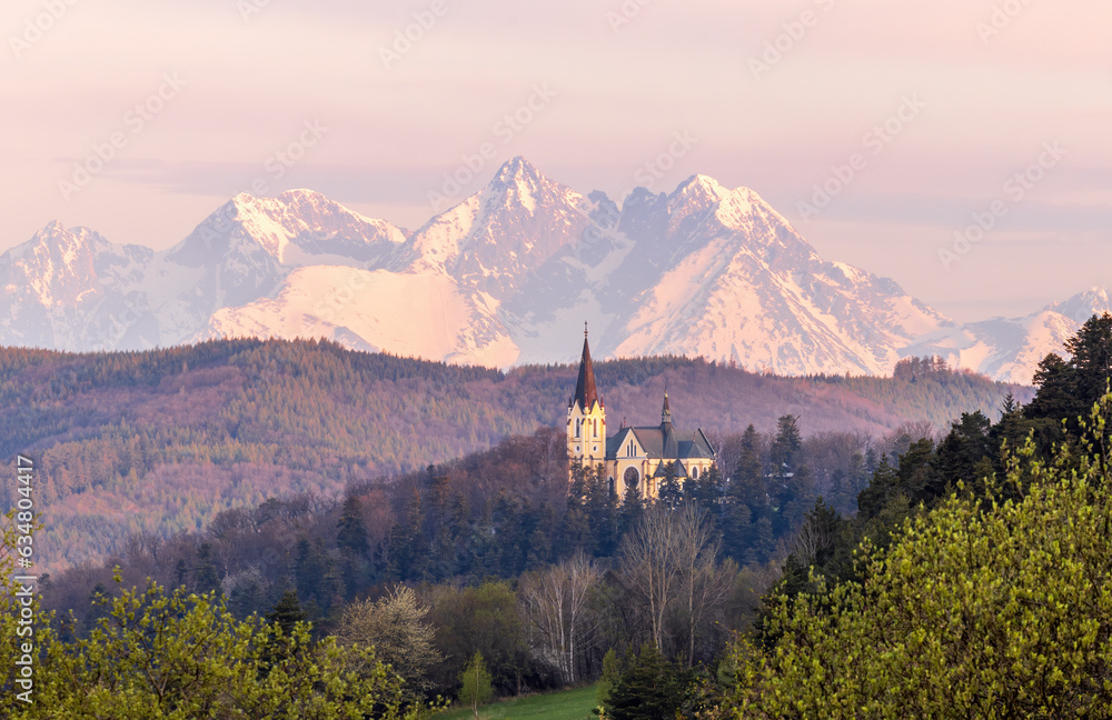 Fototapeta premium View to the Basilica of the Virgin Mary, Levoca and High Tatras on background 
