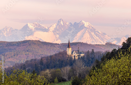 View to the Basilica of the Virgin Mary, Levoca and High Tatras on background  photo