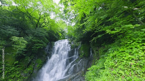 福岡県にあるマイナスイオンたっぷりの滝（糸島　白糸の滝） photo