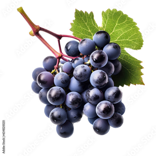 Concord Grapes with leaves in a Food-themed, photorealistic illustration in a PNG, cutout, and isolated. generative ai