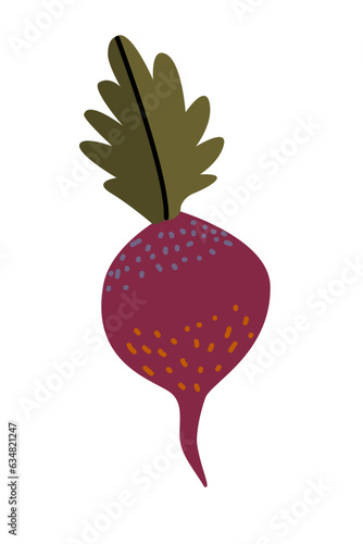 Beetroot isolated on white background. Flat, simple design. Illustration of vegetable.