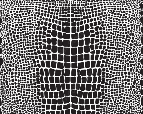 Seamless pattern of alligator skin on a white background	