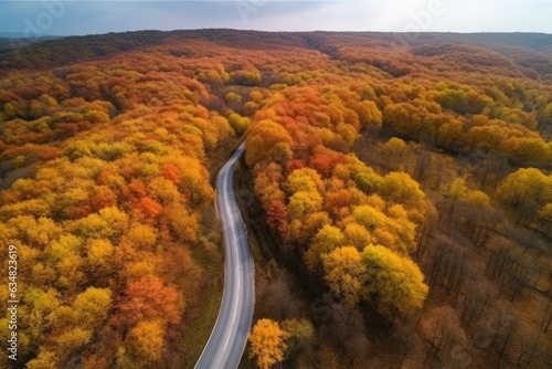 Aerial view of a winding road through an autumn forest with colorful trees and a pale blue sky creating a peaceful and serene mood. © Iryna