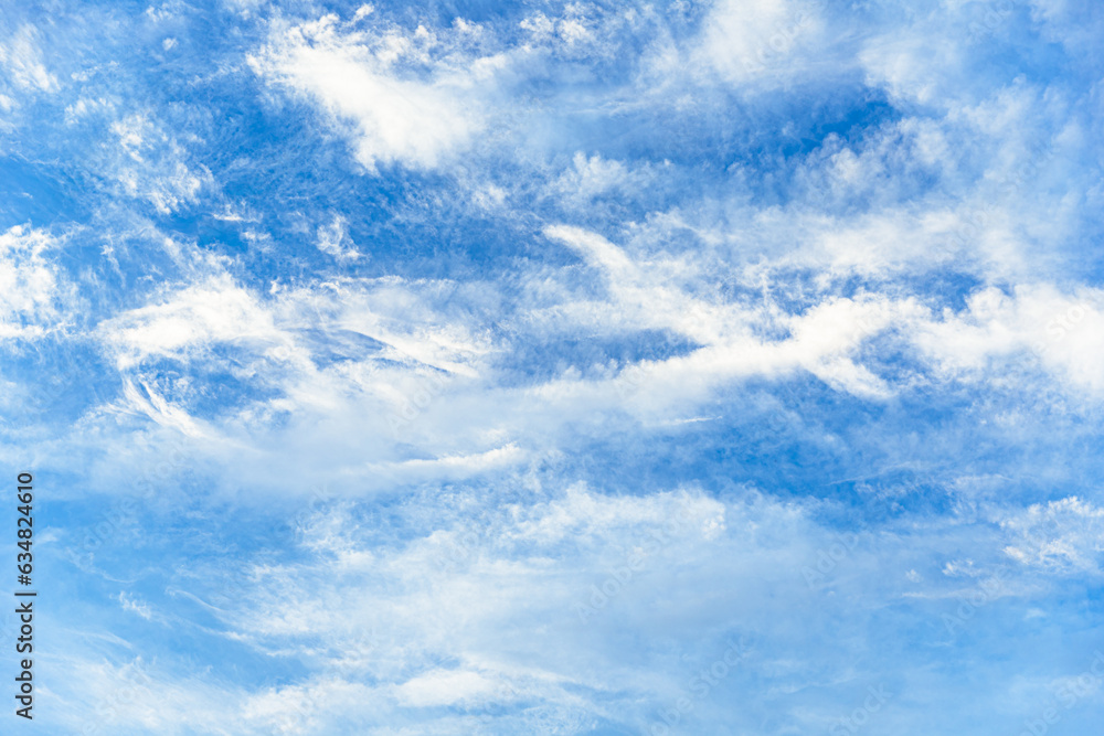 Fototapeta premium 青空