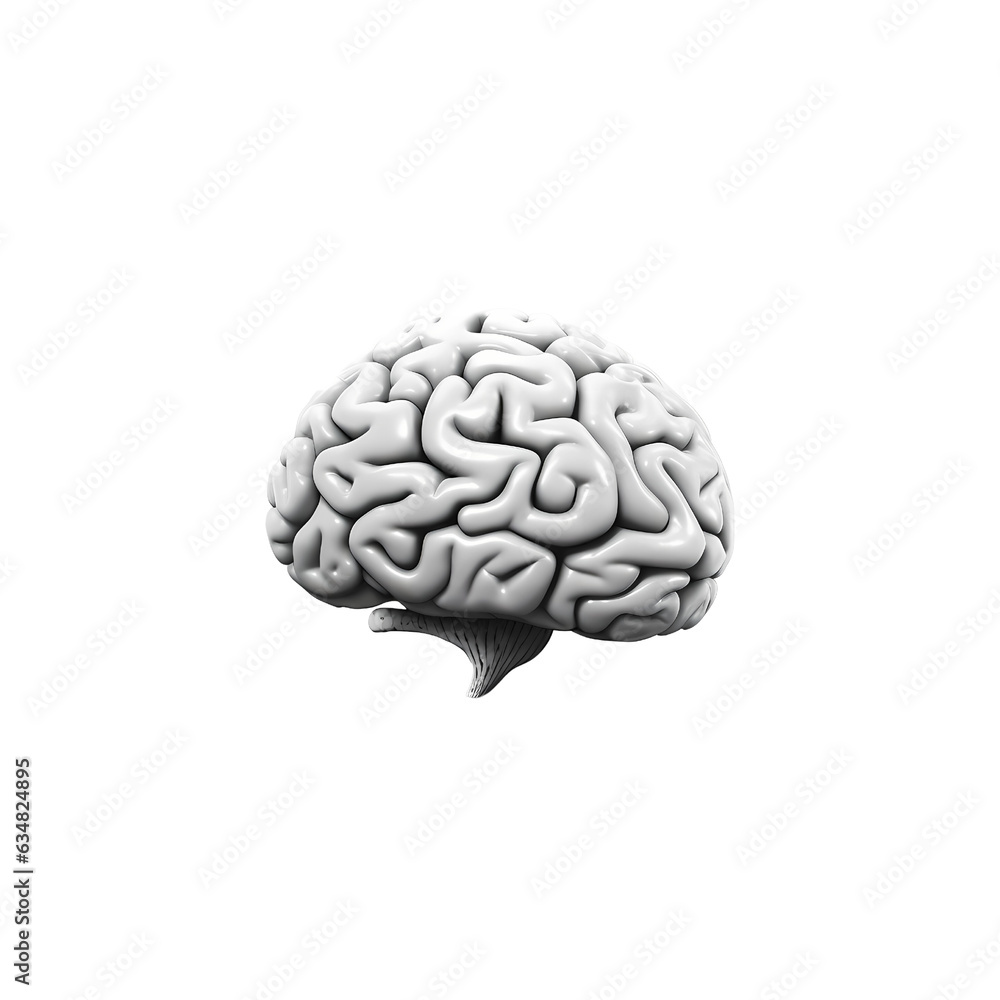 White Human Brain Isolated on Transparent Background
White Human Brain Isolated on Transparent Background