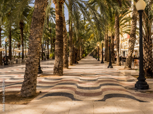 Tiled Walkway Lined with Palms in Alicante, Spain