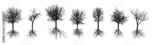 Bare trees with roots. Silhouettes of beautiful deciduous trees with bare branches, set. Vector illustration