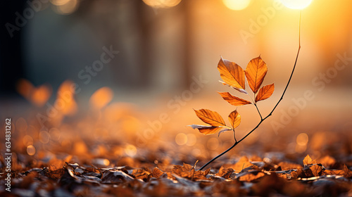Closeup of leaves on a branch in autumn. autumn background