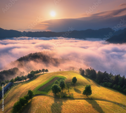 Aerial view of alpine meadows and mountains in pink low clouds at sunrise in autumn. Top drone view of hills with green grass and trees in fog, colorful sky at dawn in fall. Slovenia. Mountain valley