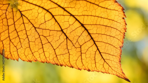 AI's October Emotion: Closeup of Shrivelled Leaf Nervation, Gold Autumn Foliage in Sunshine, Natural Park Scenic Texture, Forest Tree Trunk & Blue Skies Shining Over Colourful Fall Flora