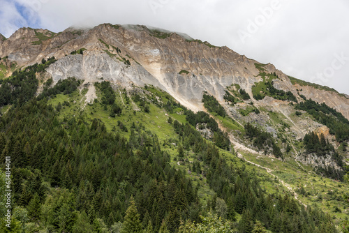 Les Alpes depuis la Savoie en été-07 (ID: 634844011)