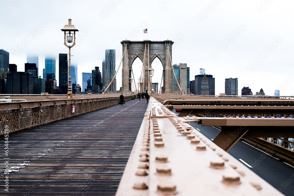 Fototapeta premium city bridge and city skyline
