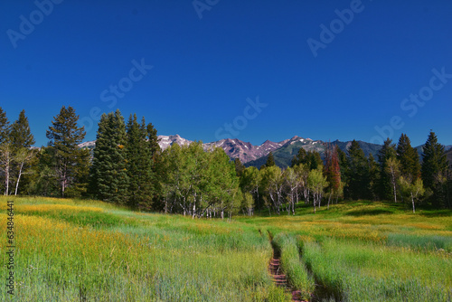 Tibble Fork hiking views from trail Lone Peak Wilderness Uinta Wasatch Cache National Forest, Rocky Mountains, Utah. United States. photo