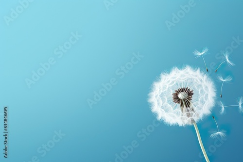 Beautiful white dandelion on blue background with copy space. Illustration   Generative AI