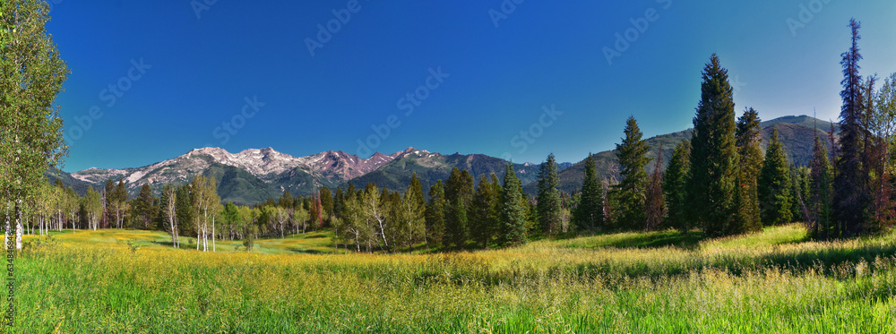 Tibble Fork hiking views from trail Lone Peak Wilderness Uinta Wasatch Cache National Forest, Rocky Mountains, Utah. United States.