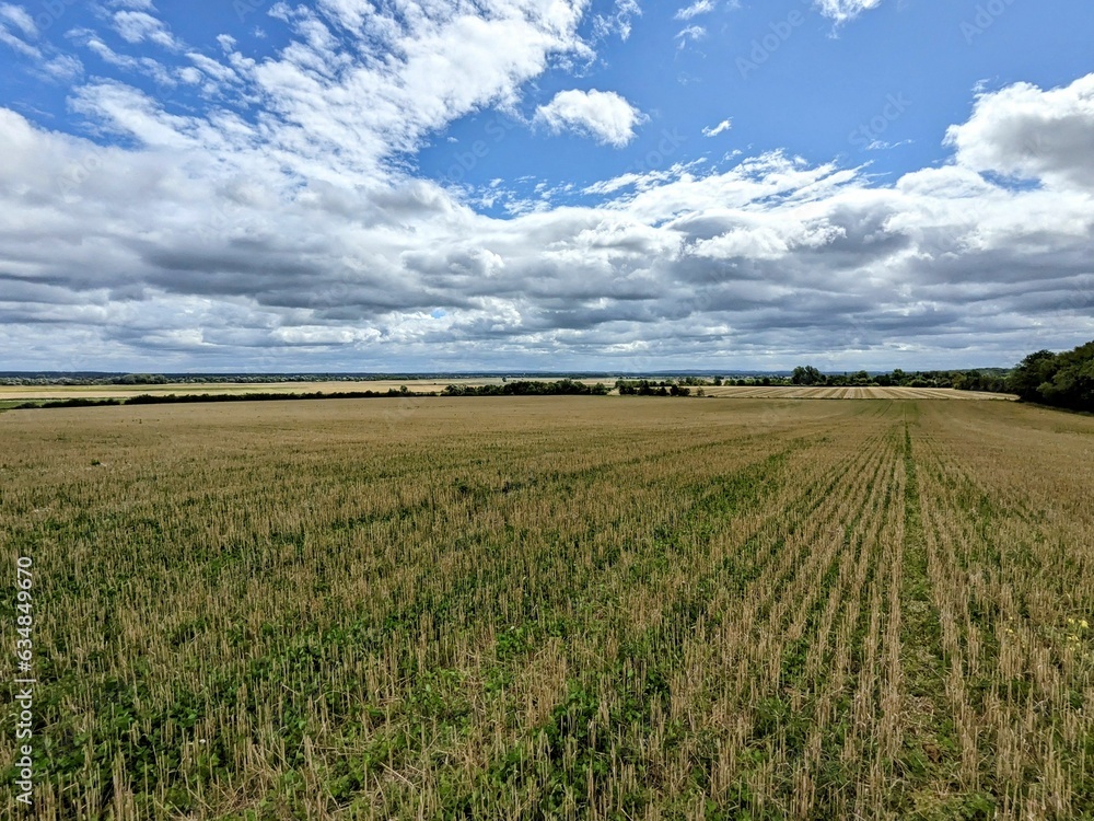 A field in Burgundy's countryside, France - August 2023 A field in Burgundy's countryside, France - August 2023