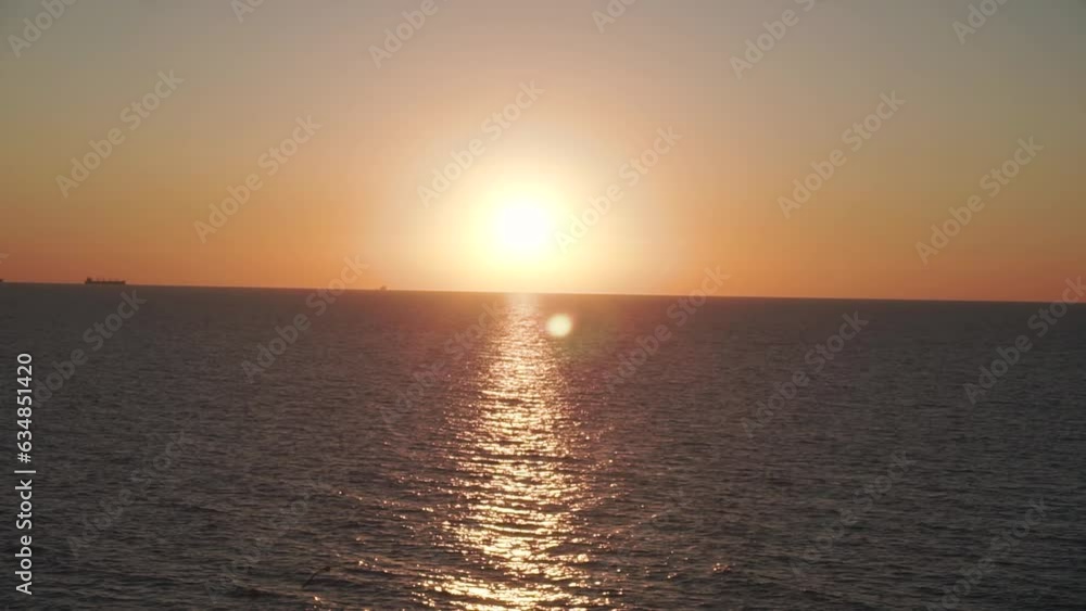 Orange, pink dawn over the sea. Seagull flying against the backdrop of the sun into the camera. Ships and boats silhouetted on the horizon. Solar path on the water, waves. Handheld shooting